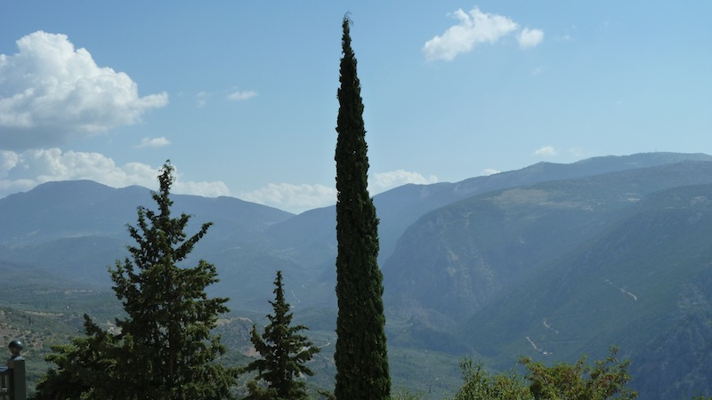 Delphi 49.JPG